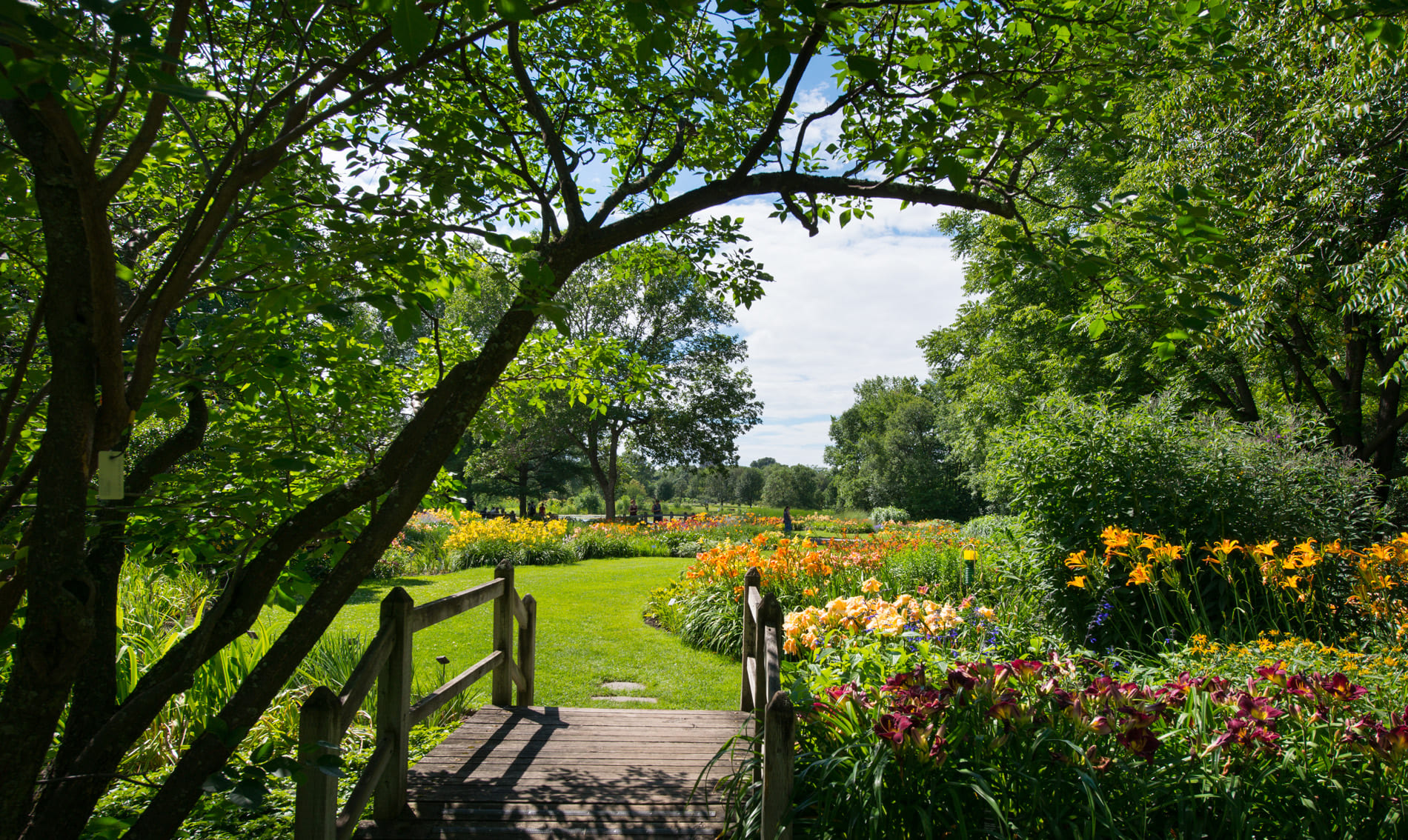 Jardin Botanique de Montréal - Photo Espace pour la vie/Martine Larose