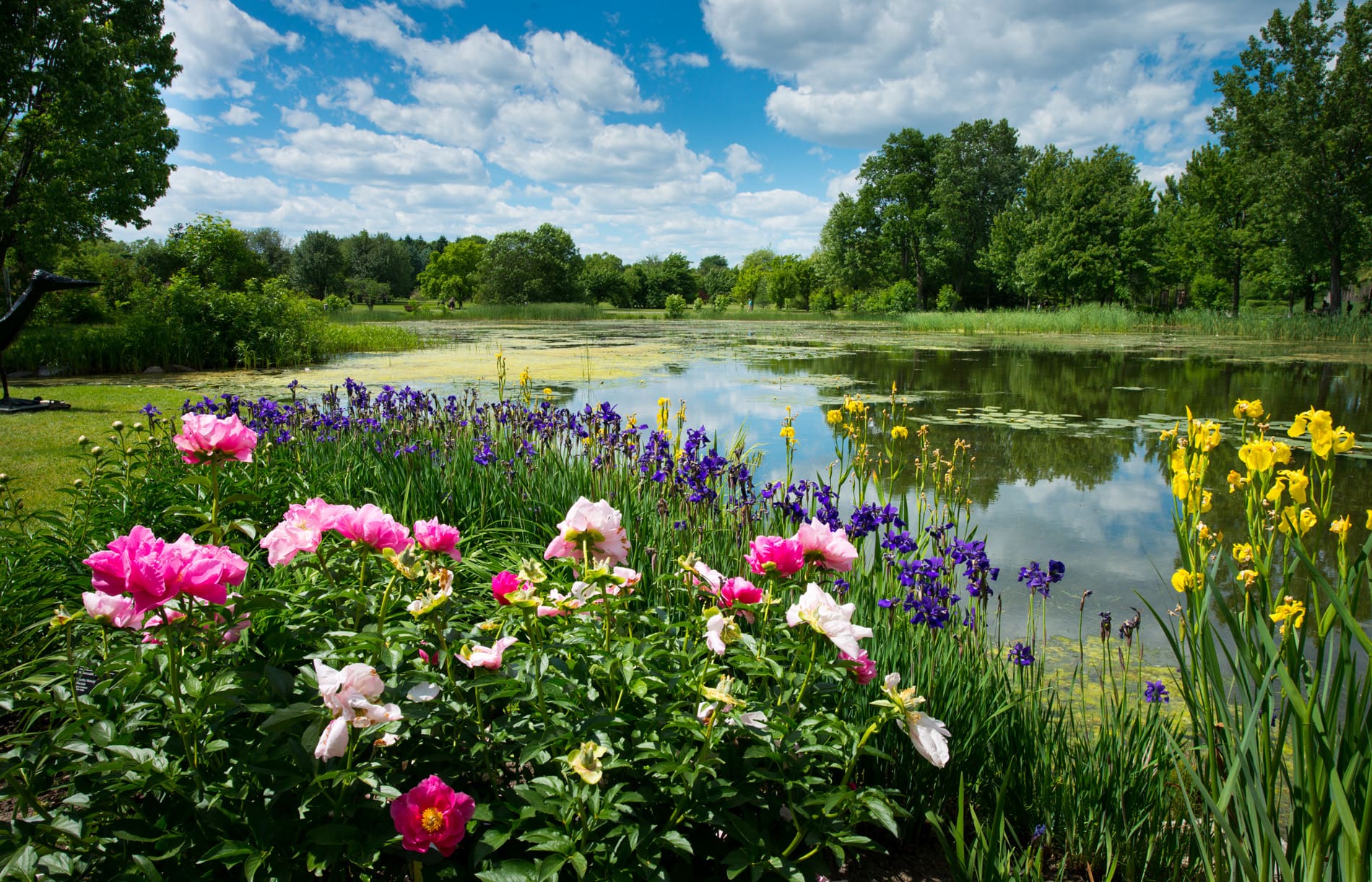Jardin Botanique de Montréal - Photo Espace pour la vie/Martine Larose