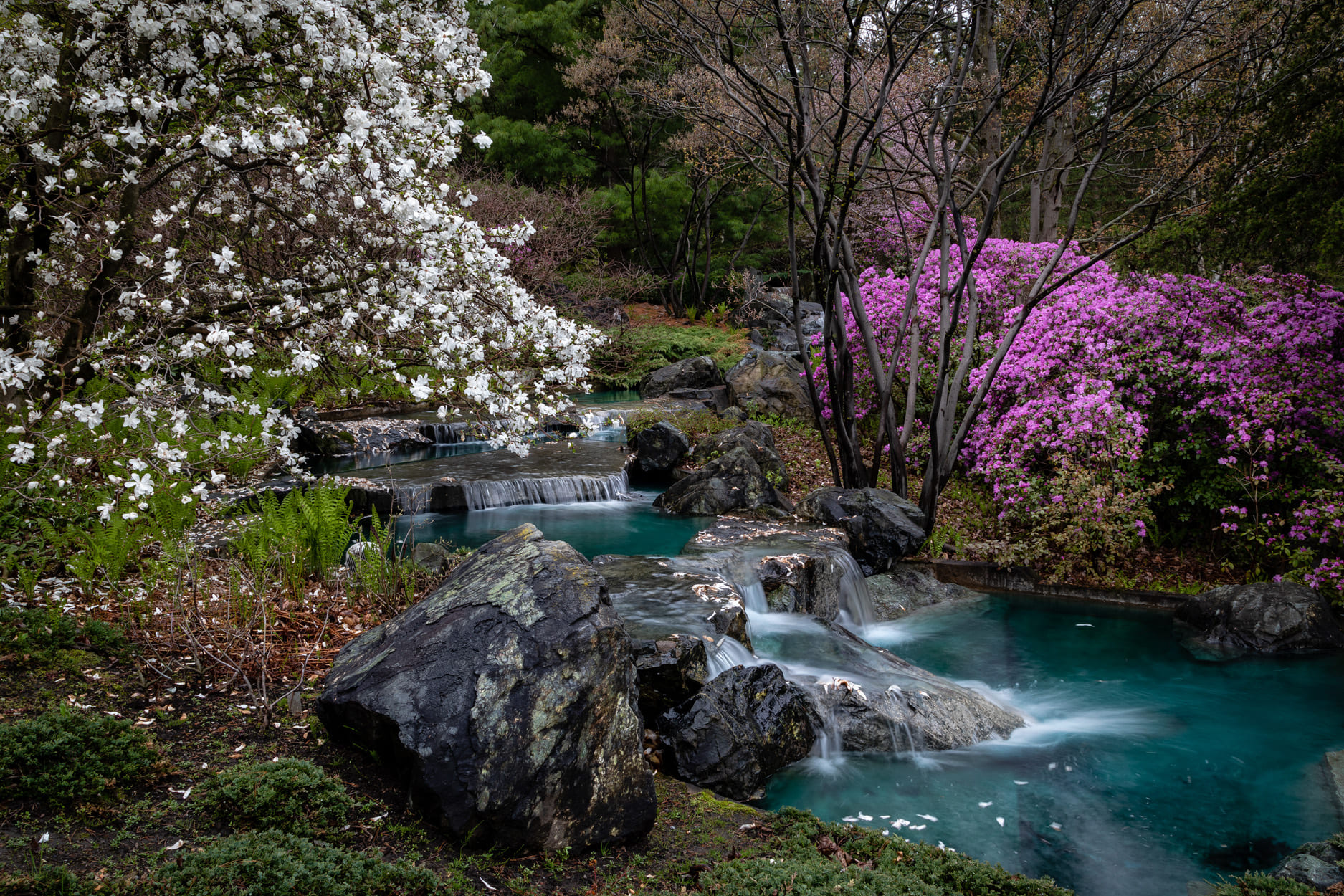 Jardin Botanique de Montréal - Photo Espace pour la vie/André Sarrazin