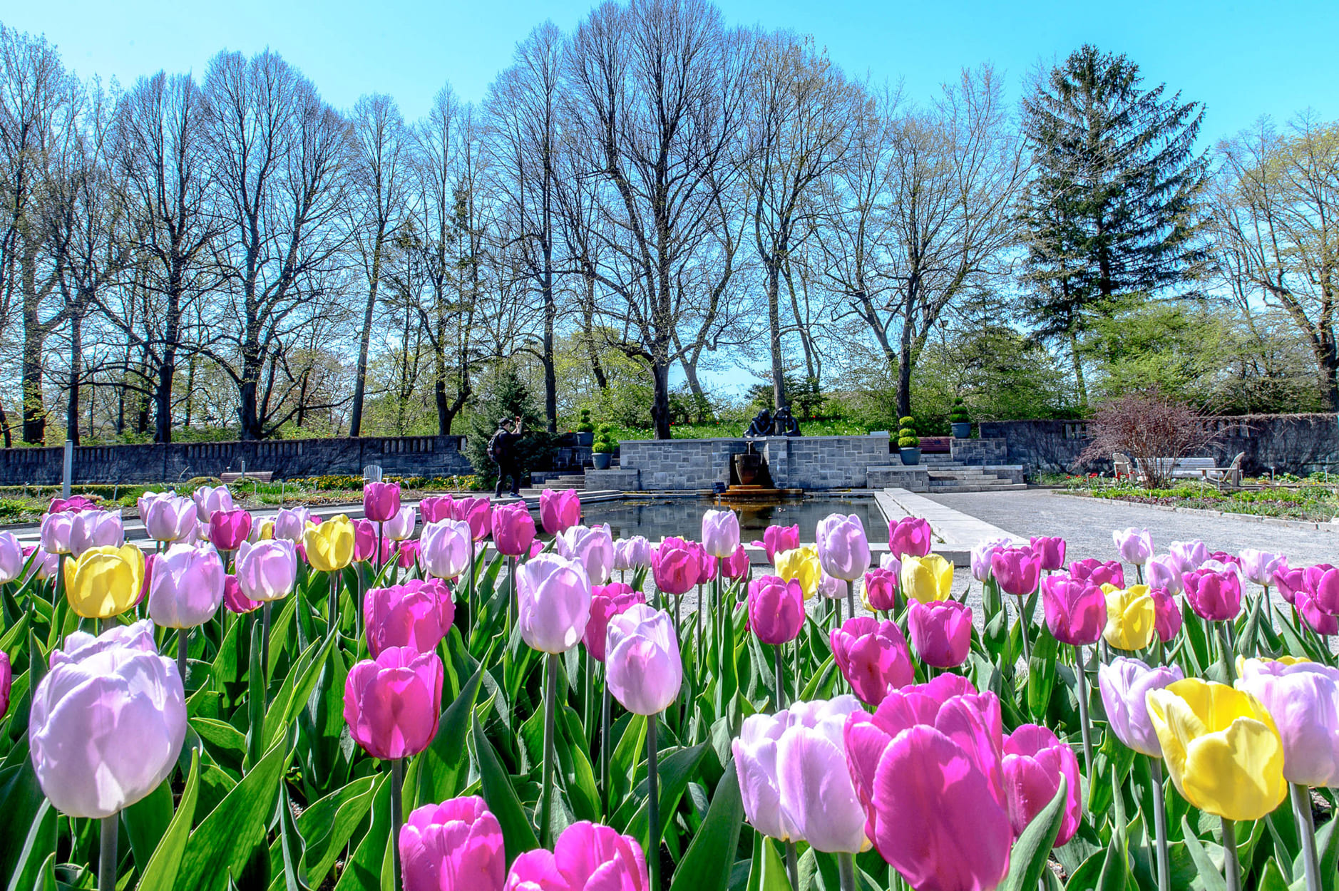 Jardin Botanique de Montréal - Photo Espace pour la vie/Raymond Jalbert