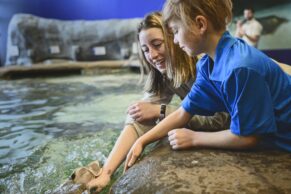 Aquarium du Québec - Bassin tactile des raies - Photo Simon Clark