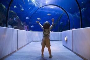 Aquarium du Québec - Tunnel Grand Océan - Francis Doucet
