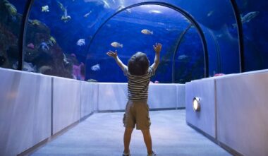 Aquarium du Québec - Tunnel Grand Océan - Francis Doucet
