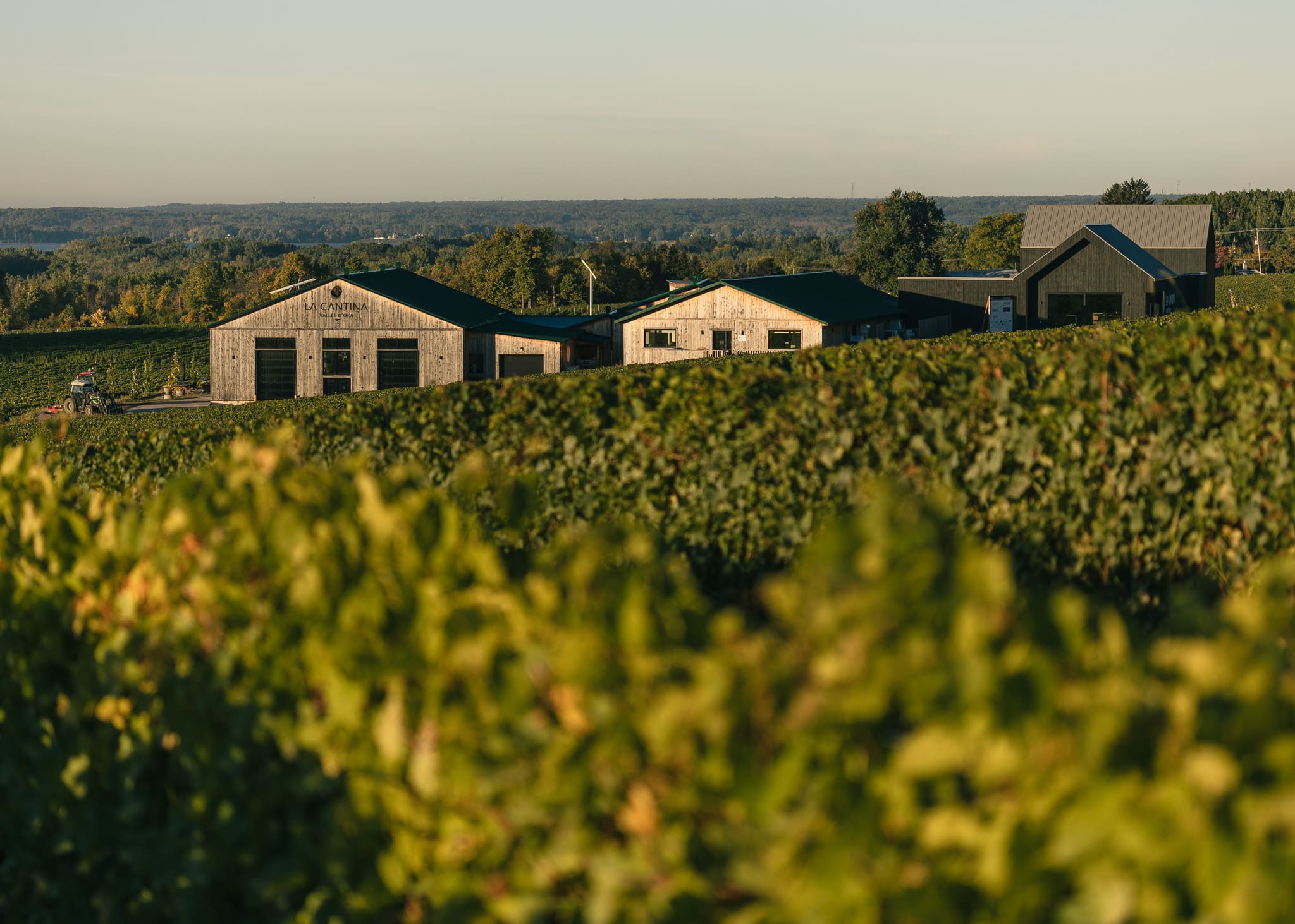 Vignoble La Cantina - Photo Tourisme Laurentides