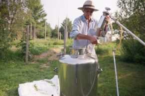 Herboristerie La Fée des Bois