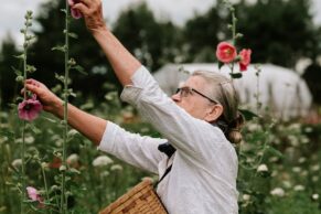 Herboristerie La Fée des Bois