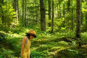 Herboristerie La Fée des Bois
