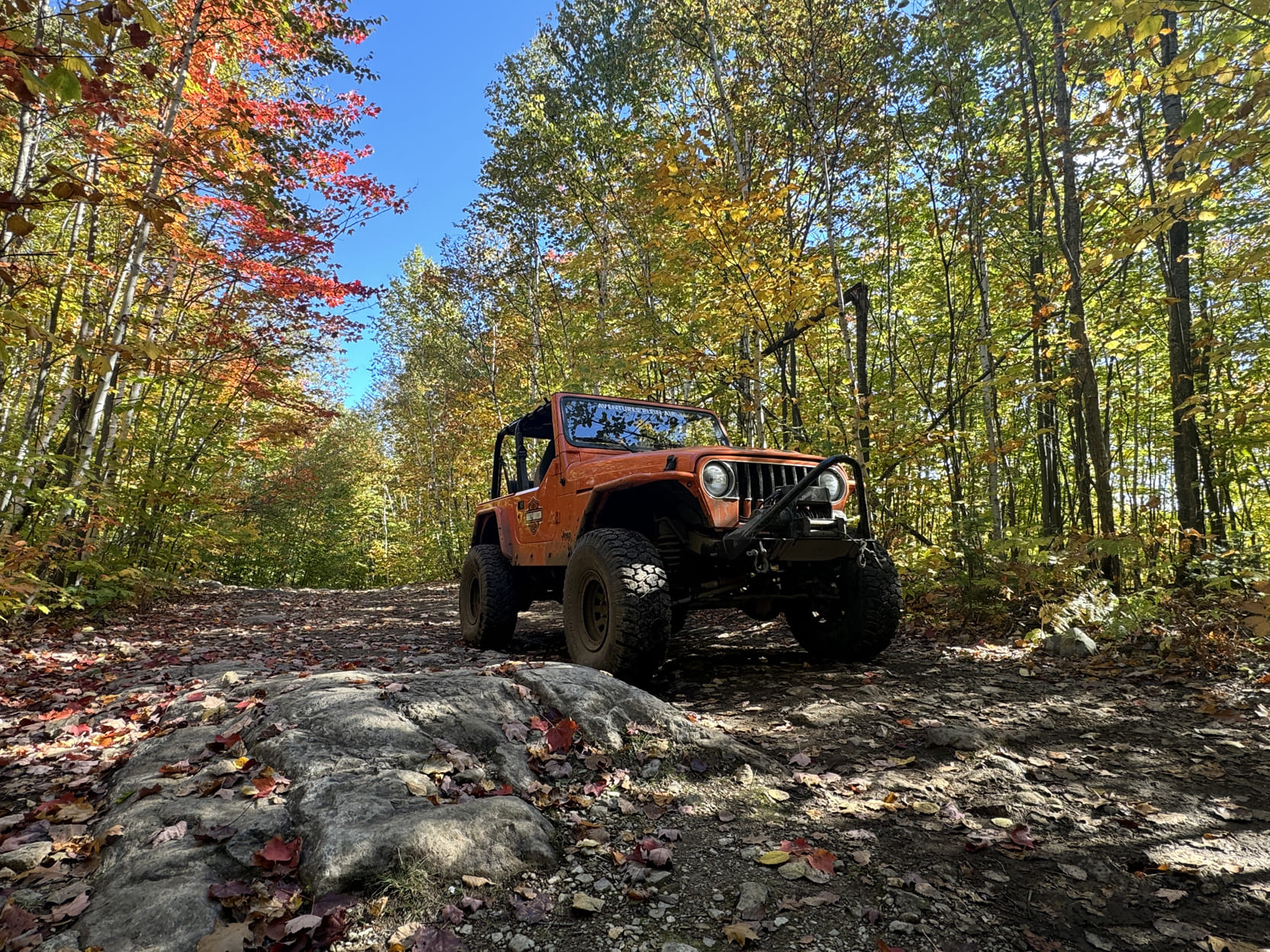 Aventure Plein Air - Photo Tourisme Laurentides