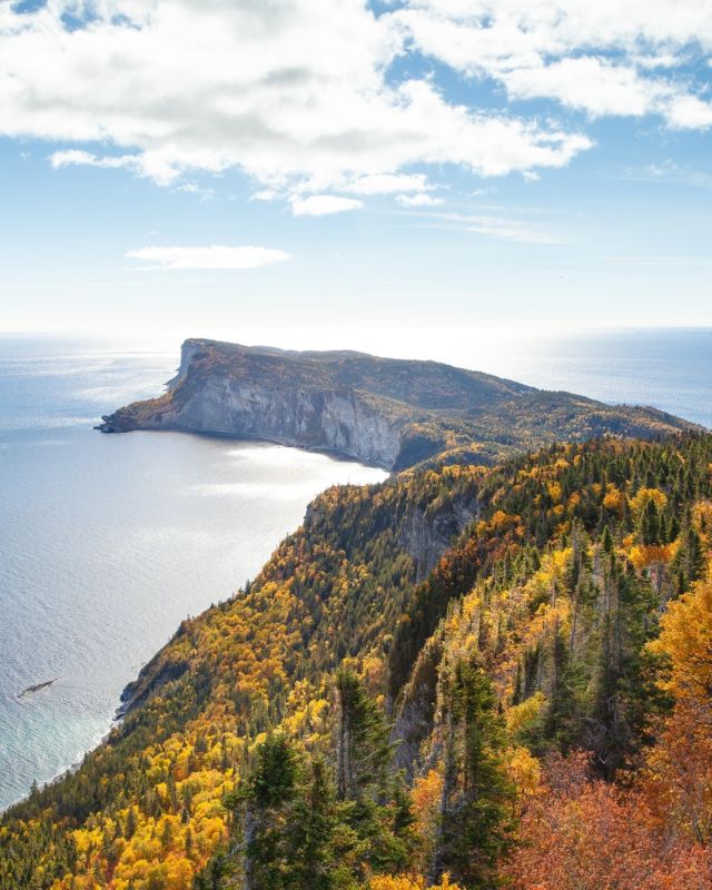 Envie de fuir la routine cet automne ? 🍁

En Gaspésie, au @quebecmaritime, Gaspé est une destination idéale pour les amoureux de nature. Moins de monde, des randonnées à couper le souffle, une lumière dorée qui rend tout plus beau… et même des phoques curieux en prime. 

Un air de dolce vita automnale au bout du monde !

📷 - Roger St-Laurent
.
.
#quebeclemag #quebec #qc #gaspe #gaspesie #quebecmaritime #quebeccotemer #explorequebec #lemeilleurducanada #quebeclessentiel