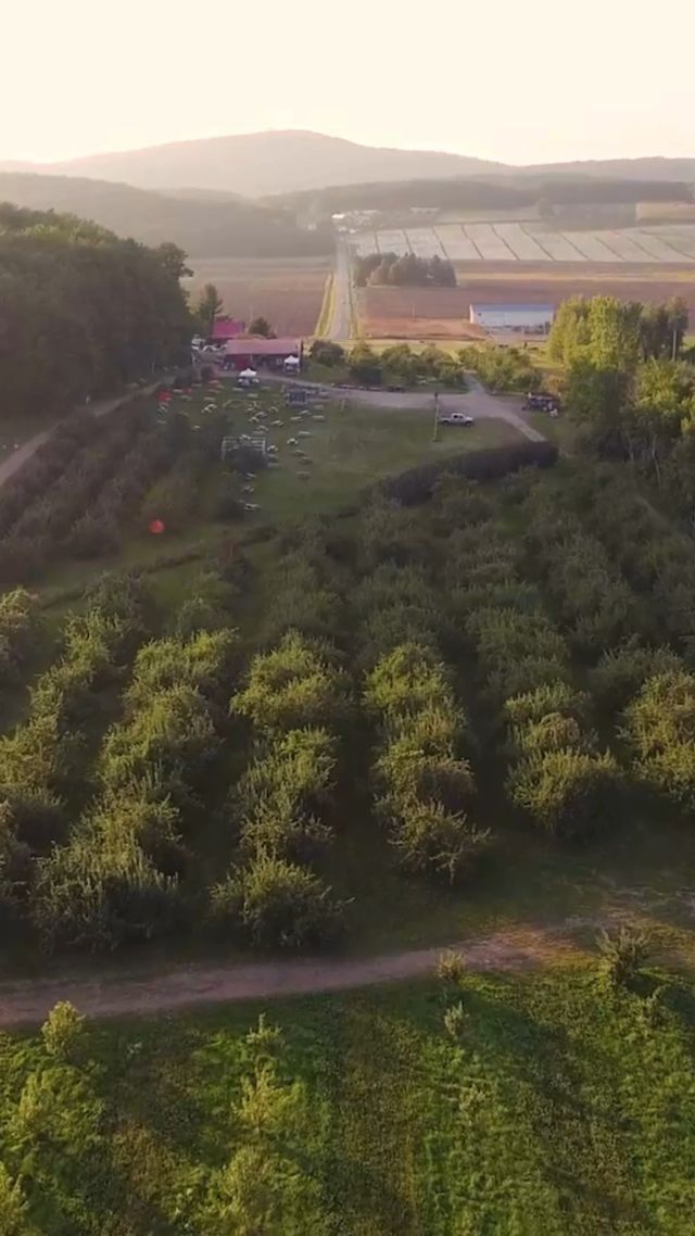 À seulement 45 minutes de Montréal, Labonté de la pomme à Oka est une escapade gourmande incontournable. Entre verger en autocueillette, cidres artisanaux et la Cabane à pommes, on y savoure le terroir québécois dans un cadre bucolique. Parfait pour une journée d'été alliant nature et plaisirs de la table. 🍎
.
.
#quebeclemag #quebec #qc #terroiretsaveurs #labontedelapomme #quebecgourmand #food #foodiesofinstagram
