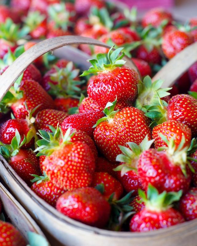 À Laval, près de Montréal, la @fermemarineau perpétue une tradition familiale depuis cinq générations. De juin à octobre, on pratique l'autocueillette de fraises 🍓, bleuets 🫐 et citrouilles.

On découvre aussi des produits maison : glaces artisanales, confitures, marinades, bières et cocktails. 

Membre de @terroirsaveurs, la Ferme Marineau propose aussi un festival de fleurs dès juillet pour une immersion complète dans l'agrotourisme québécois.
.
.
#quebeclemag #quebec #qc #terroirsaveursquebec #fermemarineau #farm #agrotourisme #laval #tourismelaval #fermequebec #explorequebec #lemeilleurducanada #quebeclessentiel