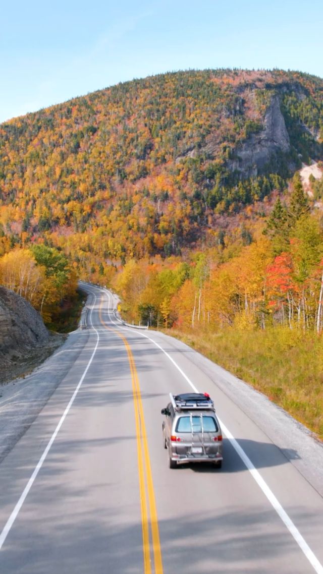 GRAND JEU DE L’ÉTÉ ☀️
Envie d'un voyage inoubliable au Québec ? Québec le Mag et @airtransat vous offrent le voyage de vos rêves ! 
🎁 À gagner :
• 5 séjours pour 2 personnes (vols A/R + 3 nuits dans un hôtel 4⭐ à Montréal)
• 5 paires de billets d'avion A/R au départ de Lyon, Marseille, Toulouse, Bordeaux ou Nantes.
👉 Rendez-vous sur www.quebeclemag.com. Le concours prend fin le 16 juillet à 23h59. Bonne chance !
•
•
#quebeclemag #quebec #qc #jeuconcours #airtransat #vacancesquebec #voyagequebec #quebecregion #quebeclife #quebeclessentiel #lemeilleurducanada