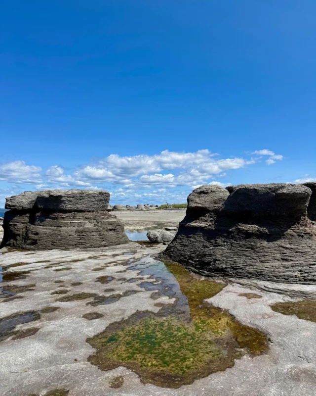 Audrey, la directrice de Québec le Mag, était de passage en Côte-Nord il y a quelques jours. 
Elle a visité la Réserve de parc national de l'Archipel-de-Mingan,m qui abrite la plus grande concentration de monolithes au Canada, puis sur l’île aux Perroquets, propice à l’observation des oiseaux marins : macareux moines, petits pingouins, guillemots à miroir. 🐧
Un dernier petit passage dans les communautés innues de Essipit et Pessamit avant de rentrer sur Québec.
.
.
#quebeclemag #quebec #qc #archipeldemingan #cotenord #explorequebec #explorecanada #quebeclessentiel #quebecmaritime
