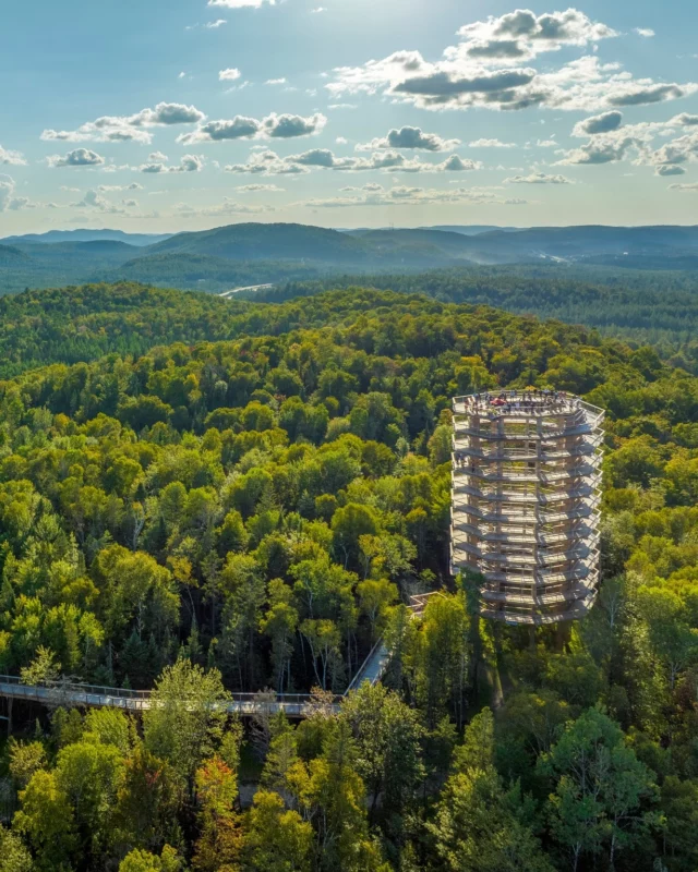 Dans les Laurentides, on prend de la hauteur avec le @sentierdescimeslaurentides
Cette passerelle de 1,35 km nous élève en douceur jusqu'à la cime des arbres, accessible même en fauteuil roulant. Du sommet de la tour panoramique de 40 mètres, les reliefs du Mont-Tremblant se dévoilent à 360°. 
Entre le filet géant pour les téméraires et le spectacle de cirque aérien "LÀ-HAUT", cette expérience unique va transformer vos vacances au Québec !
.
.
#quebeclemag #quebec #qc #sentierdescimeslaurentides #laurentides #explorequebec #explorecanada #lemeilleurducanada #quebeclessentiel #summerinquebec #étéquébécois #summervibes