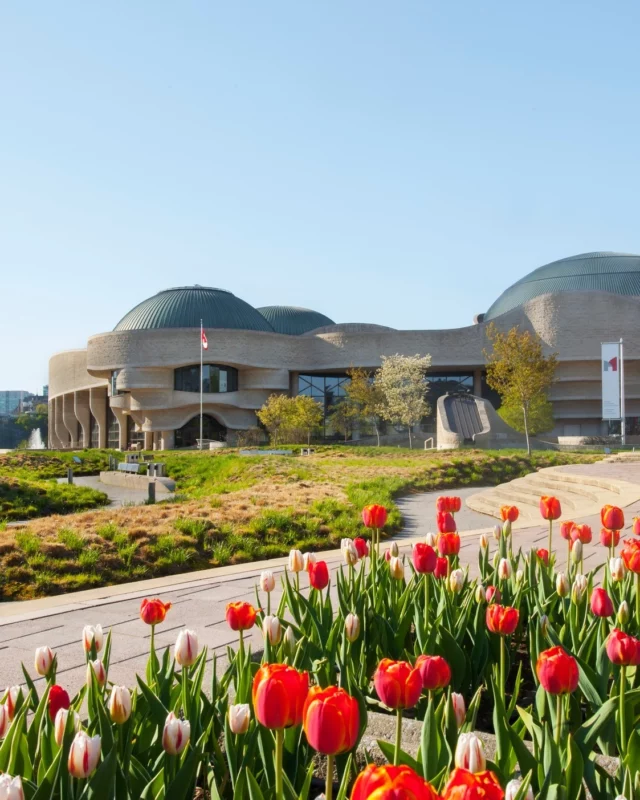 Le @muscanhistoire à Gatineau, face à la colline du Parlement d’Ottawa, est le musée le plus visité du Canada. 

Hormis son architecture spectaculaire signée Douglas Cardinal, il abrite la Grande Galerie des peuples autochtones et la Salle de l’Histoire du Canada, retraçant 15 000 ans de vie canadienne à travers artéfacts et récits historiques.

Un arrêt à ne pas manquer durant votre voyage ! 🚗
.
.
#quebeclemag #quebec #qc #museecanadiendelhistoire #canada #lemeilleurducanada #canadamuseum #quebeclessentiel #explorequebec #explorecanada