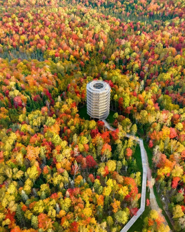 Les Laurentides se parent de leurs plus beaux atours automnaux et vous invitent à une escapade inoubliable. 

Dégustez les pommes fraîchement cueillies, parcourez les sentiers de randonnées et de VTT, prenez de la hauteur en tyrolienne, via ferrata, hélicoptère ou hydravion ou encore profitez d'une vue panoramique sur des paysages grandioses.

👉 Découvrez nos 10 expériences authentiques pour savourer l'automne dans les Laurentides !
.
.
#quebeclemag #quebec #qc #laurentides #automne #explorequebec #vacancesauquebec #lemeilleurducanada #automne #fall #fallvibes