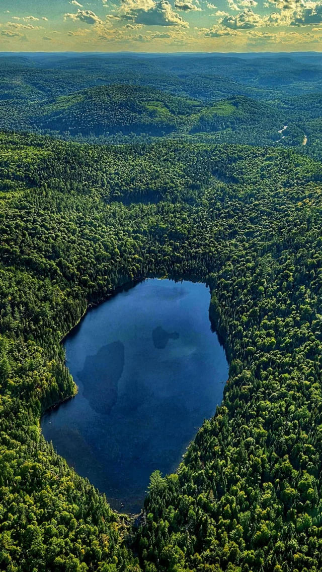 Dans la famille des expériences les plus fabuleuses à vivre au @quebecauthentique , on demande le survol en hydravion ! 

Avec @hydravionaventure, la compagnie d’Alain Priem, on a survolé l’immensité québécoise au coucher de soleil pour déguster des tapas sur la plage sauvage du lac au Sorcier, dans la réserve faunique Mastigouche, tout près du parc national de la Mauricie. 
Tout simplement magique ! 🛩️
•
•
#quebeclemag #quebec #qc #quebecregion #quebecauthentique #hydravion #hydravionquebec #lemeilleurducanada #quebeclessentiel