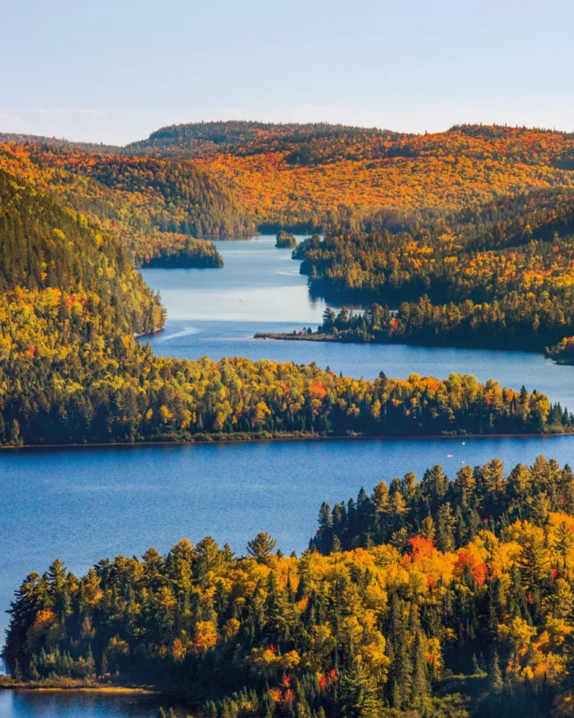 Des couleurs, des couleurs et encore des couleurs ! 🍂🍁 
L'automne est l'une des plus belles saisons au Québec ! 

À découvrir l'année prochaine si vous êtes l'heureux gagnant(e) de notre jeu concours ! 
.
.
#quebeclemag #quebec #qc #automne #fall #fallvibes #automnequebec #colorful #quebecauthentique #mauricie #lanaudiere #jeuconcours #contest #contestgram