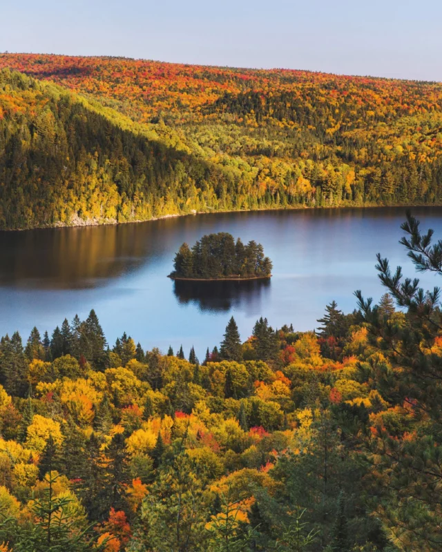 Plus que quelques jours pour participer à notre jeu concours 100% nature au @quebecauthentique !

À gagner 🎁

- 2 billets d'avion Paris / Montréal offerts par @airtransat 
- 1 voiture de location offerte par @@imagine.canada
- 6 nuits à l' @auberge_lactaureau (2 nuits), l'Auberge du Vieux Moulin (2 nuits) et l'@aubergelacaleauclaire (2 nuits)
.
.
#quebeclemag #quebec #qc #contest #jeuconcours #automne #automnequebec #fall #fallvibes #explorequebec #lemeilleurducanada