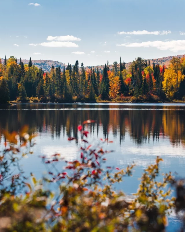 🕰 Vous avez jusqu'à demain soir 23h59 pour participer à notre jeu concours et tenter de gagner un voyage pour deux personnes au @quebecauthentique ! 🧡
.
.
#quebeclemag #quebec #qc #jeuconcours #quebecauthentique #contest #contestgram #explorequebec #quebeclessentiel #lemeilleurducanada