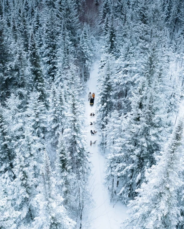 On bascule en mode hiver avec @tourismelaurentides ❄
À 1h de Montréal, dans les Laurentides, c'est tout un univers hivernal qui vous attend.
Entre les pistes enneigées de @monttremblant, les villages de montagne comme la @valleesaintsauveur et le @village_valdavid, les 232 kilomètres du @ptittraindunord  et les grands espaces qui s'offrent aux motoneigistes et skieurs de fond, vous avez l'embarras du choix pour profiter de l'hiver au Québec !
.
.
#quebeclemag #quebec #qc #hiver #laurentides #hiverquebec #motoneige #chientraineau #fatibike #raquette #skidefond #explorequebec #lemeilleurducanada #quebeclessentiel