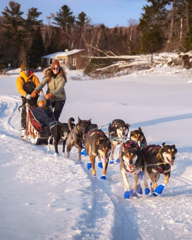 Tout proche de Montréal, la région des Laurentides est LA destination parfaite pour s'adonner aux joies de l'hiver.
Raquette, motoneige, traîneau à chiens, ski, spa et même tyrolienne, on ne se refuse rien cet hiver ! ☃
.
.
#quebeclemag #quebec #qc #hiver #laurentides #hiverquebec #hiverqc #winter #explorequebec #lemeilleurducanada #quebeclessentiel