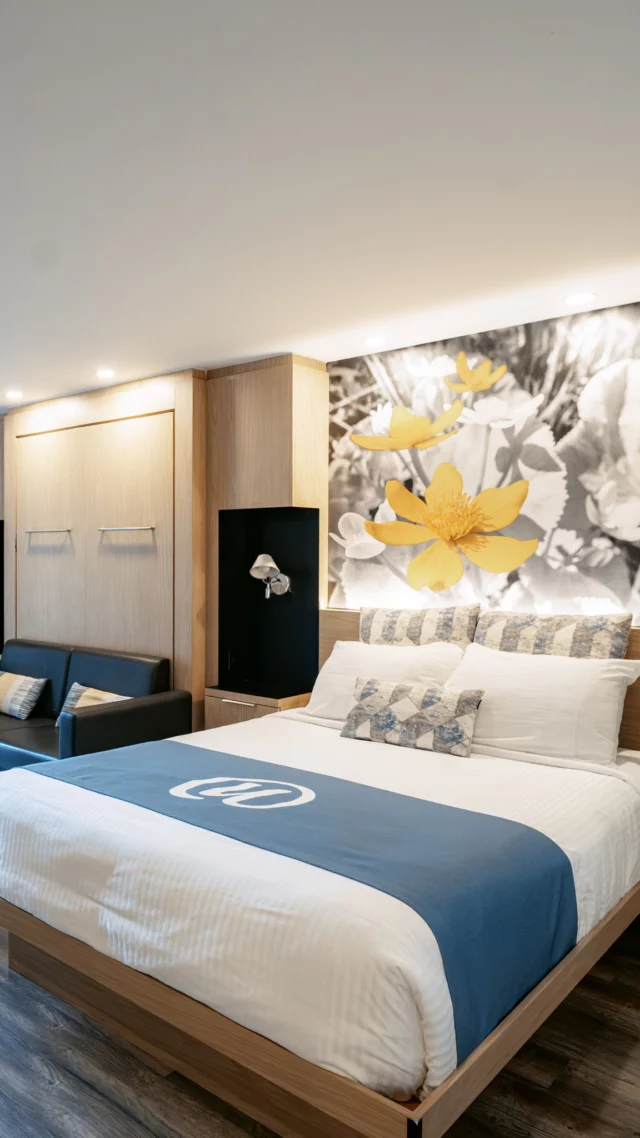 Avec 302 chambres et suites rénovées, l'hôtel Universel Rivière du Loup pose le décor idéal pour explorer le Bas-Saint-Laurent. On profite de la piscine intérieure et de l'UniverSpa Nordik après les aventures de la journée, puis on file au bar pour déguster un savoureux cocktail. 
Le genre d'adresse où l'on se sent vite chez soi au cœur du @quebecmaritime.
.
#quebeclemag #quebec #qc #hoteluniverselriviereduloup #quebecmaritime