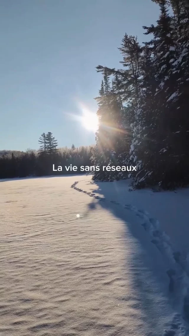 Dans les Hautes-Laurentides, le @lievrerouge.ca a posé ses micro-chalets solaires et sa yourte au creux de 111 hectares de forêt boréale.
En toute saison, le décor est planté : des lacs pour pagayer, des sentiers pour se perdre, un spa pour lâcher prise et un café-buvette ambiance lodge pour finir la journée en beauté.
Le genre d'endroit au Québec qu'on ne veut jamais quitter. Coup de ❤ garanti ! 
.
.
#quebeclemag #quebec #qc #lelièvrerouge #laurentides #explorequebec #explorecanada #hiver #hiverquebecois