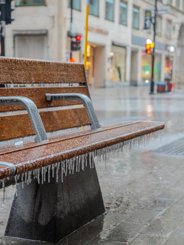 Une journée sous le signe du verglas à Montréal. Merci à @brave.heart_photography pour ces superbes clichés. 
Soyez prudents ♥️
.
.
#quebeclemag #quebec #qc #montreal #pluieverglacante