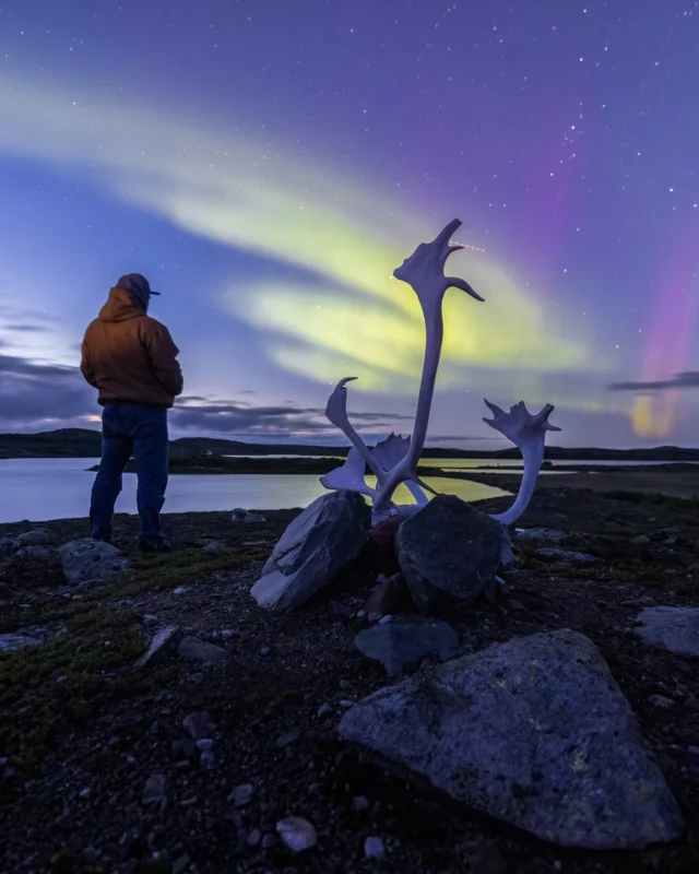 Cet été, le Nunavik réserve de nouvelles surprises à ceux qui osent s'aventurer au-delà du 55e parallèle. 
Fatbike sur la toundra, glamping nordique sous les aurores boréales, photos face aux icebergs... Les acteurs de l'écotourisme inuit ont imaginé des forfaits estivaux qui repoussent encore les limites du dépaysement. 
Un voyage inoubliable au @nunavik.quebec !
📷 - Observation des aurores boréales © Jean-Simon Bégin
📷 - Vue aérienne du cratère météoritique © Heiko Wittenborn
📷 - Migration des caribous © Jean-Simon Bégin
📷 - Monts Torngat dans le parc national Kuururjuaq © Patrick Graillon
.
.
#quebeclemag #quebec #qc #nunavik #étéauquebec #nunaviktourism #nunavik #nunaviklife