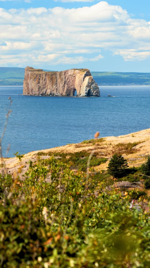 Le rocher Percé, tout le monde connaît. 
Mais Percé est bien plus que ce géant de calcaire face à la mer. C'est la colonie de fous de Bassan la plus accessible au monde sur l'île Bonaventure, des kilomères de sentiers entre falaises et forêt, le Géoparc mondial UNESCO, des bières primées, des fruits de mer d'exception et des artisans qui font vivre un village unique en Gaspésie. 
Une destination au @quebecmaritime qui mérite qu'on s'y attarde.
.
.
#quebeclemag #quebec #qc #quebecmaritime #gaspesie