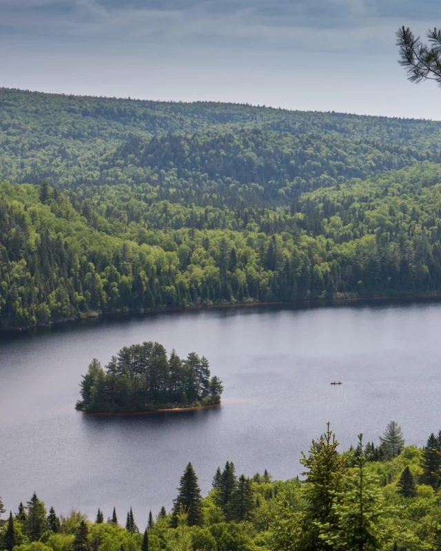 536 km2 de forêts, de lacs et de rivières préservés, à deux pas de Shawinigan. Le Parc national de la Mauricie se vit en canot sur le lac Wapizagonke, à pied jusqu'aux chutes Waber ou sur les sentiers ou simplement installé dans une chaise Adirondack face à un panorama à couper le souffle.
L'un des grands espaces verts du Québec, accessible en toute saison et pour tous les niveaux. L'un de nos parcs préférés dans l'équipe ! 🌳
.
.
#quebeclemag #quebec #qc #quebecauthentique #mauricie #parccanada #explorequebec
