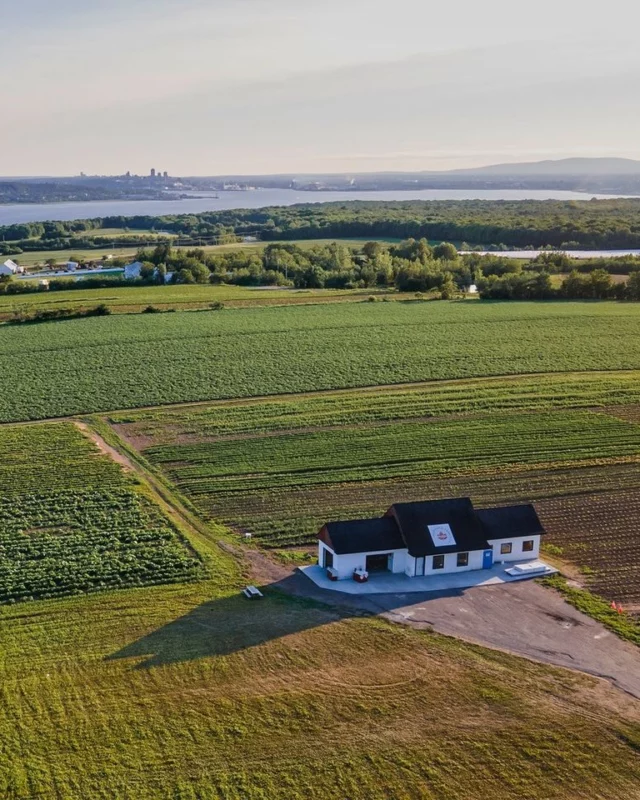 Que faire sur l'Île d'Orléans cet été ? 🚲
À quelques minutes de Québec, l'île d'Orléans déroule ses paysages champêtres, ses villages anciens et son terroir gourmand au fil du fleuve Saint-Laurent. 
Posez vos valises au @moteliledorleans_ , perché sur les hauteurs de Saint-Laurent-de-l'Île-d'Orléans face à la capitale, puis enfourchez un vélo électrique avec @quebecaventuretours pour 3 h 30 de tour guidé entre vignobles, chocolateries et points de vue imprenables. 
Une parenthèse de charme, de saveurs et de partage.
.
.
#quebeclemag #quebec #qc #ileorleans #quebecaventuretours #explorequebec #ilovequebec #quebecavelo