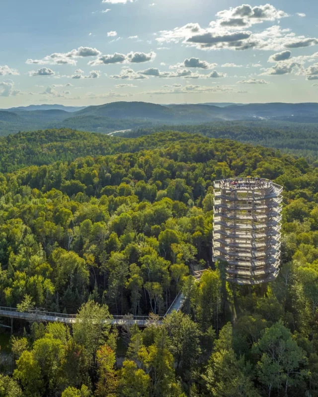 À 150 km de Montréal, près de Mont-Blanc, le @sentierdescimeslaurentides invite à une balade pas comme les autres. 
Long de 1,35 km, une passerelle de bois grimpe en douceur jusqu'à la cime des arbres. Au bout du parcours, la tour panoramique de 40 mètres dévoile les reliefs des Laurentides et le Mont-Tremblant à 360 degrés. 
Une activité à partager en famille, accessible aux poussettes et aux personnes à mobilité réduite.
.
.
#quebeclemag #quebec #qc #laurentides #explorequebe #roadtripquebec #sentierdescimeslaurentides