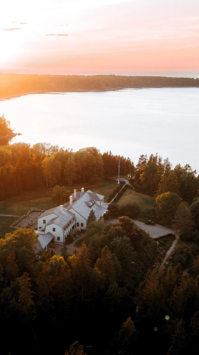 Aux portes de la Gaspésie, au @quebecmaritime, les @jardinsdemetis déploient leurs merveilles sur une quinzaine de jardins distincts. 
Plus de 3 000 espèces et variétés de plantes vous attendent, dont le célèbre pavot bleu de l'Himalaya. Imaginé par Elsie Reford en 1926, ce laboratoire à ciel ouvert accueille chaque année le Festival international de jardins, où des artistes du monde entier signent des installations poétiques. 
Sur place, le Restaurant de la villa Estevan sublime les produits du potager.
.
.
#quebeclemag #quebec #qc #jardinsdemetis #quebecmaritime #gaspesie