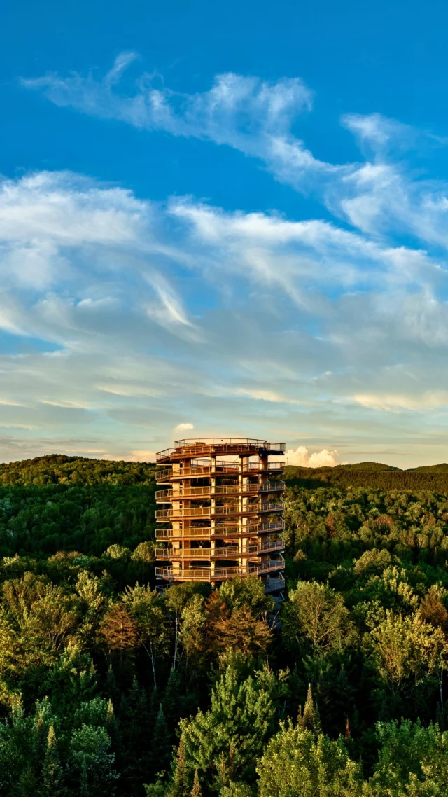 À Mont-Blanc, dans les Laurentides, le @sentierdescimeslaurentides vous fait marcher au-dessus de la canopée, le long d'une passerelle de bois qui grimpe jusqu'à une tour panoramique de quarante mètres. 
Du 3 juillet au 24 août, des artistes de cirque investissent les hauteurs avec le spectacle Là-Haut, inclus dans le billet d'entrée. 
Un coin de paradis suspendu entre ciel et forêt, au cœur de la Belle Province.
.
.
#quebeclemag #quebec #laurentides #sentierdescimes #explorequebec #voyagequebec