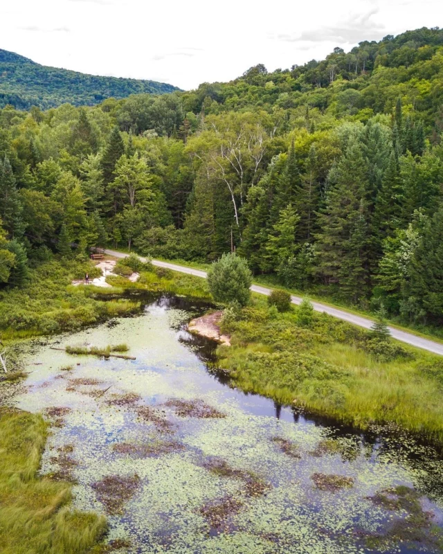 Parmi les plus beaux itinéraires du Québec ❤️
Le Parc Linéaire le @ptittraindunord déroule 234 km de piste cyclable sur une ancienne voie ferrée, de Bois-des-Filion à Mont-Laurier, dans les Laurentides. 
Les gares patrimoniales rythment le parcours, les ponts de fer enjambent les rivières et les villages de charme multiplient les occasions de pause en terrasse.
L'avez-vous déjà faite ?
.
.
#quebeclemag #quebec #qc #laurentides #ptittraindunord #explorequebec #quebecavelo