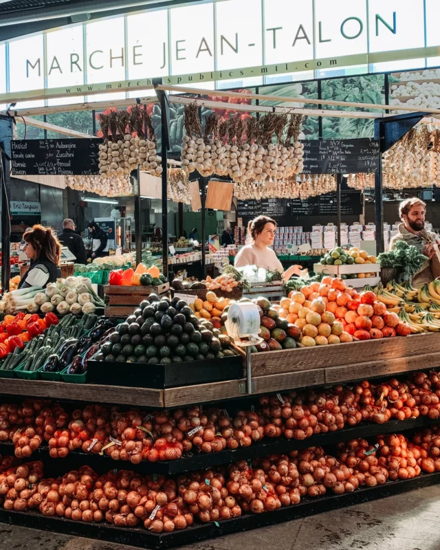 Au Marché Jean-Talon à Montréal, le mois d'août sent le maïs sucré 🌽 et la tomate mûre. 
Les producteurs vous parlent volontiers de ce qu'ils cultivent. Les fromagers proposent des produits que vous ne croiserez nulle part en Europe. Quant aux fleuristes, ils vous feront un bouquet que vous ne pourrez pas refuser.
Goûtez un bleuet sauvage 🫐 sur place, achetez de quoi pique-niquer, puis remontez la Petite Italie à pied pour les déguster !
.
.
#quebeclemag #quebec #qc #montreal #marche #jeantalon #montrealmoments #explorequebec