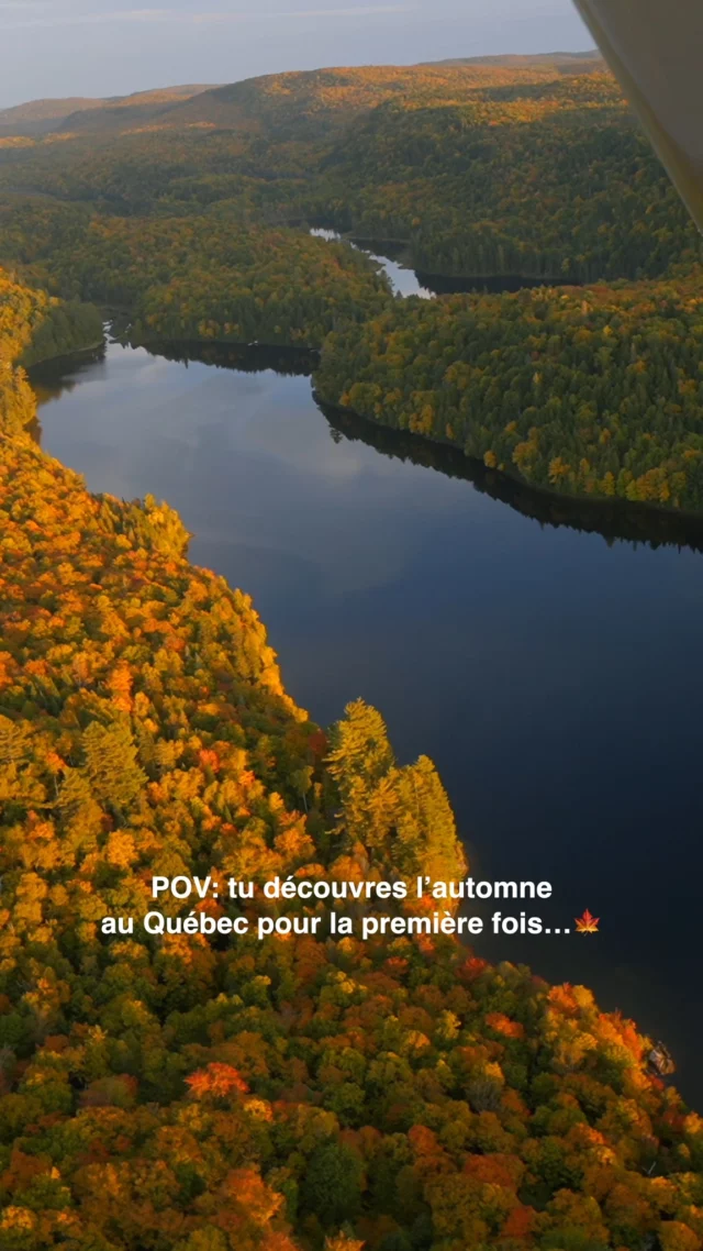 Quand tu découvres l'automne pour la 1ère fois au Québec ❤️