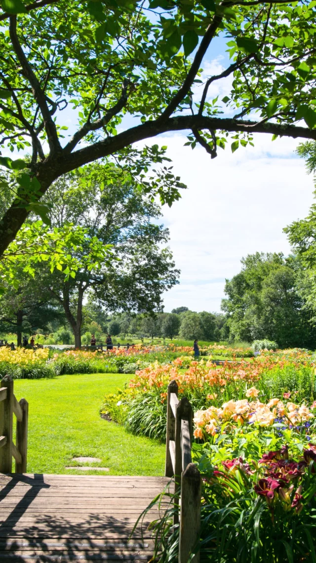 En automne, le Jardin botanique de Montréal se couvre de teintes dorées et cuivrées, portées par ses érables, ses chênes et ses vivaces. À quelques minutes du centre-ville, ce jardin aux milliers de fleurs et de plantes devient le refuge des habitants qui viennent flâner à chaque saison, entre le Jardin japonais, le Jardin de Chine ou encore le Jardin des Premières-Nations.
On y revient à chaque saison sans jamais voir la même chose.
.
.
#quebeclemag #quebec #montreal #mtlmoment #explorequebec #montrealcity