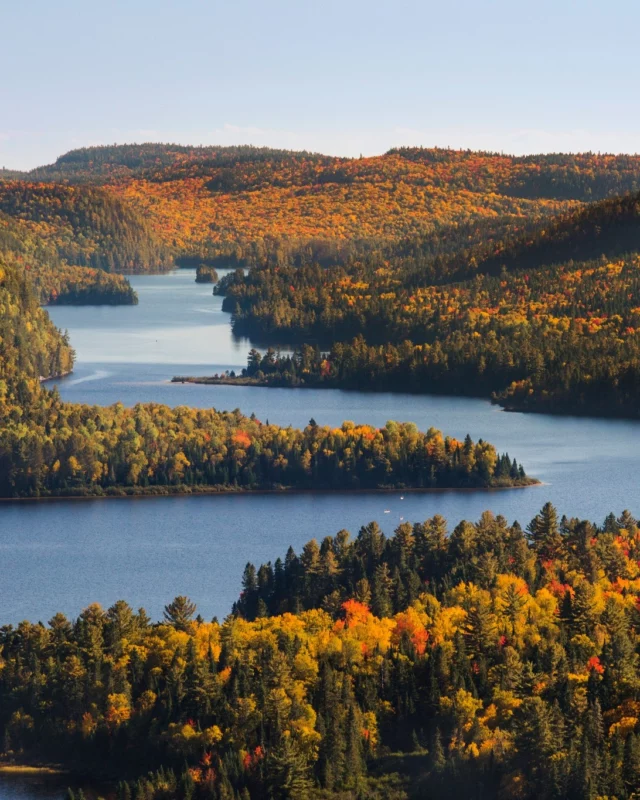 Bienvenue au grand festival des couleurs dont le Québec a le secret ! 🍁
Jusqu'à mi-octobre, les feuilles des arbres prennent différentes nuances de rouge, d’orange et de jaune, créant des paysages époustouflants. 
Une période idéale pour les amoureux de nature et de photographie, qui prennent plaisir à immortaliser ces décors exceptionnels.
•
•
#quebeclemag #quebec #qc #automne #fallvibes🍂🍁❤️