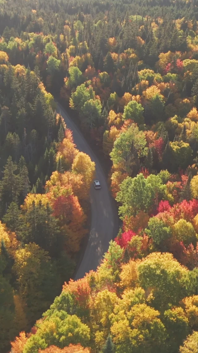 Est-ce que ça vaut le coup d'aller au Québec en automne ? La réponse est par icitte ! 🍁