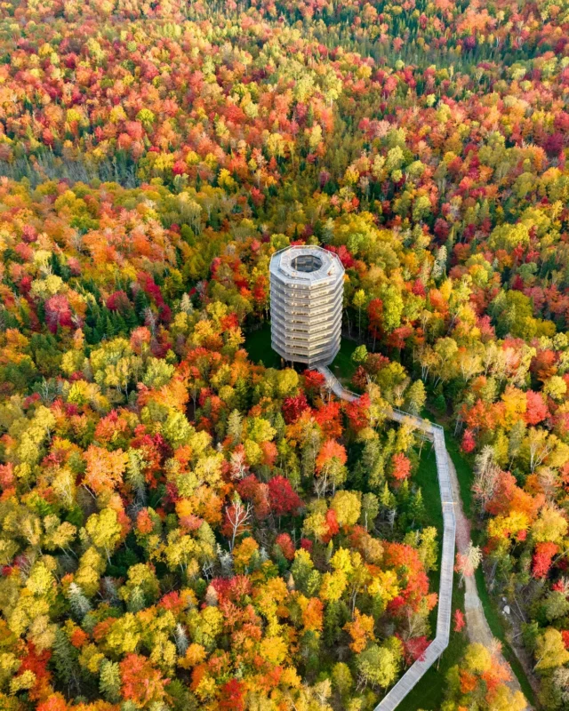 L’automne tire doucement sa révérence, les couleurs flamboyantes vont laisser place à l’hiver et ses forêts blanches. 
Quelques dernières photos de cette saison toujours aussi magnifiques ! 
.
.
#quebeclemag #quebec #qc #laurentides #explorequebec