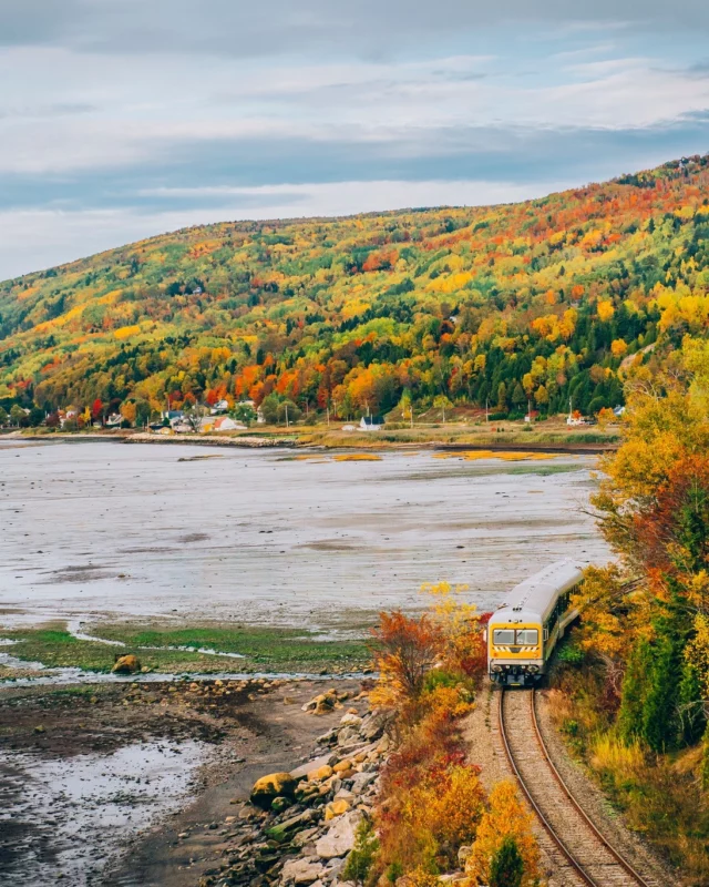 Le @traindecharlevoix longe le Saint-Laurent sur 125 km, entre Québec et La Malbaie, et traverse des villages perchés sur les falaises. 

Par les fenêtres panoramiques, les montagnes défilent d’un côté pendant que le fleuve scintille de l’autre. Tout le monde contemple le paysage. On ne voit pas de meilleure façon de vivre l’automne québécois. 

Qui serait partant pour monter à bord ? Faites vite, les réservations sont ouvertes jusqu'au 1er novembre ! 

📷 - Caroline Perron
.
.
#quebeclemag #quebec #qc #traindecharlevoix #explorequebec