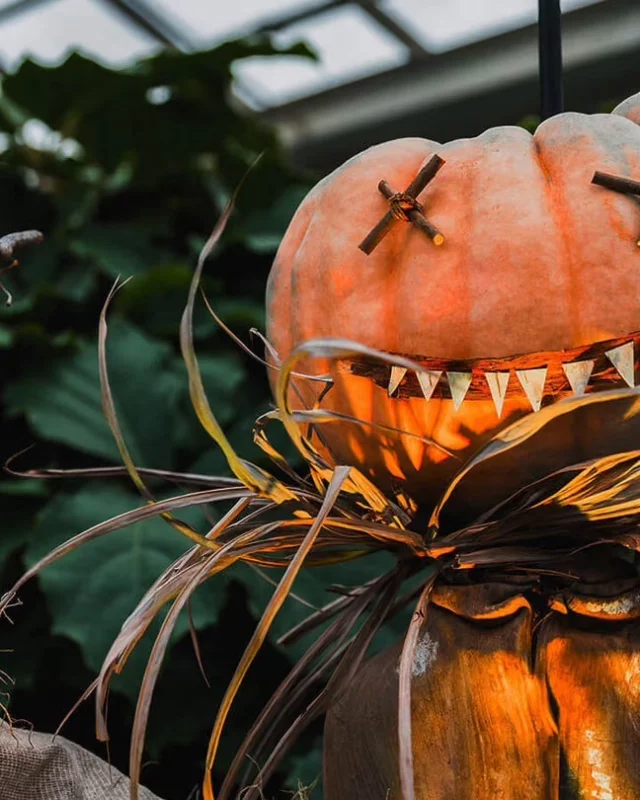 Quoi faire au Québec pour Halloween ? 
📍Montréal et ses alentours
Le Jardin botanique (@espacepourlavie) ensorcelle ses allées avec Frissons d’Halloween. @exporail_qc_canada fait rouler un train fantôme à Saint-Constant. À Drummondville, le @villagequebecois fait régner le chaos.
📍Québec
Les @promenadesfantomes racontent les sombres secrets des ruelles et l’@aquariumduqc cache des citrouilles dans ses bassins.
📍Outaouais
Le @parcomega fête Halloween pour les grands et les petits.
Et toi, tu as fais quoi pour Halloween ? 🎃
© Espace pour la vie | © Exporail | © Village Québécois d'Antan | © Promenades Fantômes
.
.
#quebeclemag #quebec #qc #halloween #halloweenparty #explorequebec